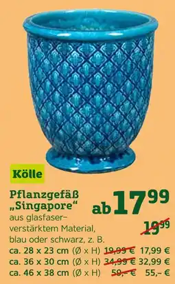 Pflanzen Kölle Kölle pflanzgefäß „singapore“ Angebot