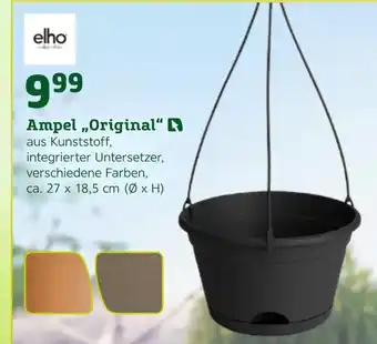 Pflanzen Kölle Elho ampel „original“ Angebot