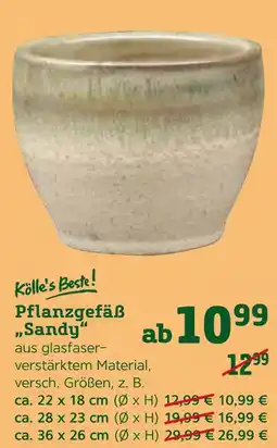 Pflanzen Kölle Kölle's beste! pflanzgefäß sandy Angebot
