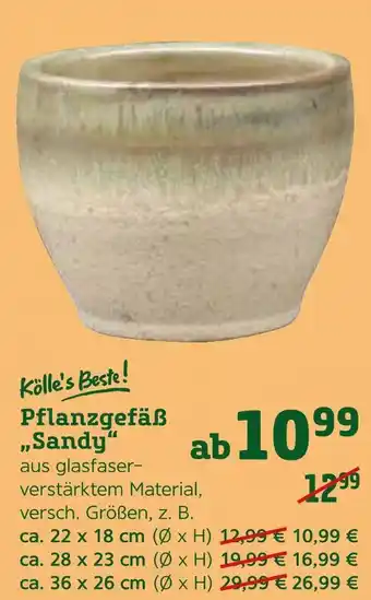 Pflanzen Kölle Kölle's beste! pflanzgefäß sandy Angebot