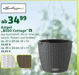 Pflanzen Kölle Ampel „nido cottage“ Angebot