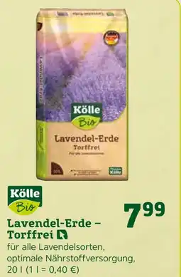 Pflanzen Kölle Kölle bio lavendel-erde – torffrei Angebot