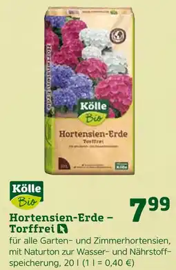 Pflanzen Kölle Kölle bio hortensien-erde – torffrei Angebot