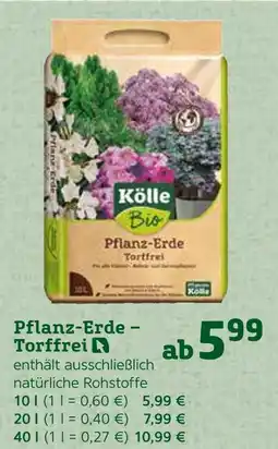 Pflanzen Kölle Kölle pflanz-erde – torffrei Angebot