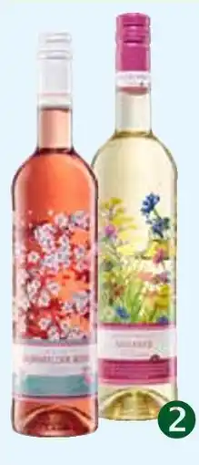 Pflanzen Kölle Wein „blumenflasche“ Angebot