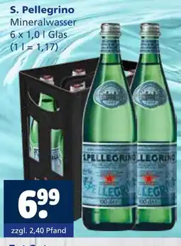 Getränkewelt S. pellegrino mineralwasser Angebot