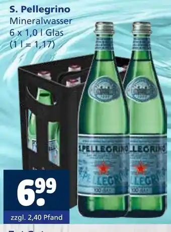 Getränkewelt S. pellegrino mineralwasser Angebot