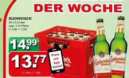 Getränkeparadies Gefromm Budweiser budweiser Angebot