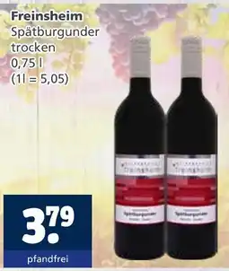 Getränkewelt Freinsheim spätburgunder trocken Angebot