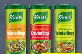 Aldi Nord Knorr Kräuterlinge zum Streuen Gartenkräuter Angebot