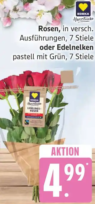 Edeka Edeka Herzstücke Rosen oder Edelnelken Angebot