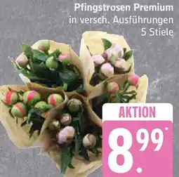Edeka Pfingstrosen Premium Angebot
