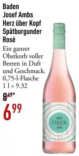 Galeria Markthalle Baden Josef Ambs Herz über Kopf Spätburgunder Rosé Angebot