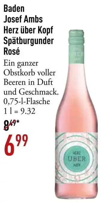 Galeria Markthalle Baden Josef Ambs Herz über Kopf Spätburgunder Rosé Angebot
