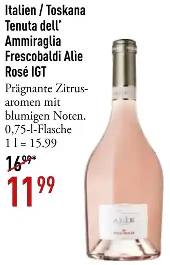 Galeria Markthalle Italien / Toskana Tenuta dell' Ammiraglia Frescobaldi Alie Rosé IGT Angebot