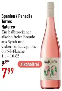 Galeria Markthalle Spanien / Penedès Torres Natureo Angebot