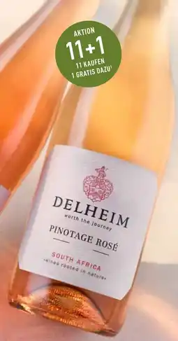 Galeria Markthalle Südafrika Delheim Pinotage Rosé Angebot