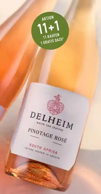 Galeria Markthalle Südafrika Delheim Pinotage Rosé Angebot
