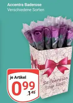Globus Accentra baderose Angebot