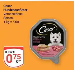 Globus Cesar hundenassfutter Angebot