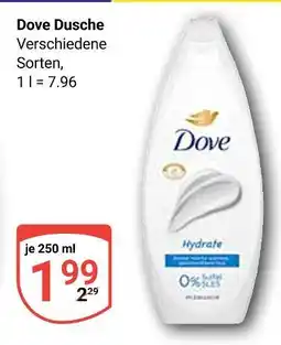 Globus Dove dusche Angebot