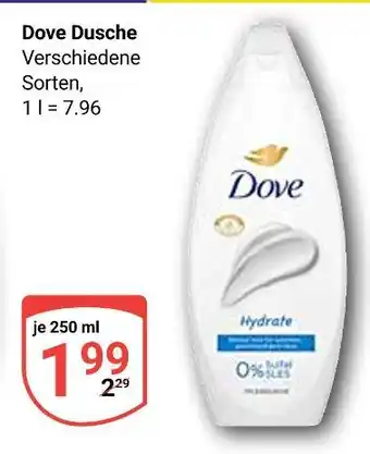 Globus Dove dusche Angebot