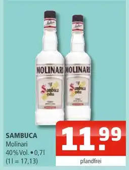 Getränke Oase Sambuca molinari Angebot
