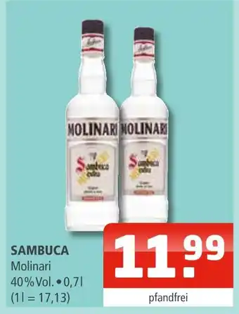 Getränke Oase Sambuca molinari Angebot