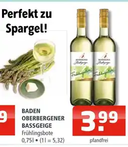 Getränke Oase Baden oberbergener bassgeige Angebot