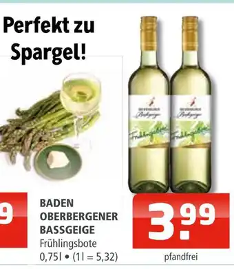 Getränke Oase Baden oberbergener bassgeige Angebot