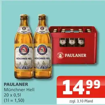 Getränke Oase Paulaner münchner hell Angebot