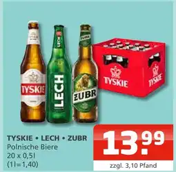 Getränke Oase Tyskie • lech • zubr Angebot