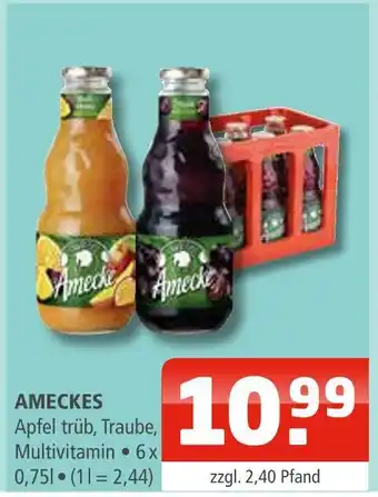 Getränke Oase Ameckes Angebot