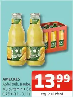 Getränke Oase Ameckes Angebot