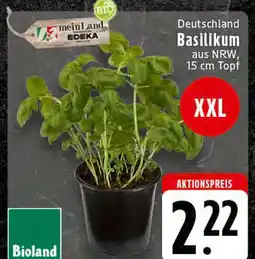 Edeka Meinland edeka basilikum Angebot