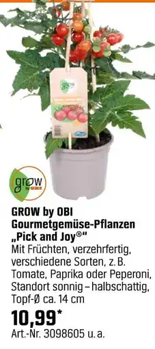 OBI Grow by obi gourmetgemüse-pflanzen „pick and joy“ Angebot