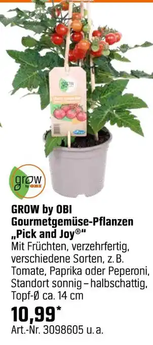OBI Grow by obi gourmetgemüse-pflanzen „pick and joy“ Angebot
