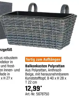 OBI Balkonkasten polyrattan Angebot