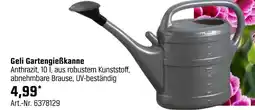 OBI Geli gartengießkanne Angebot
