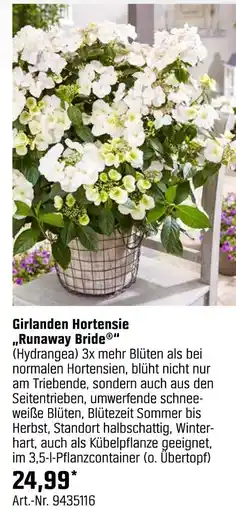 OBI Girlanden hortensie „runaway bride“ Angebot