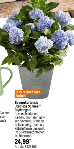 OBI Bauernhortensie endless summer (hydrangea) Angebot