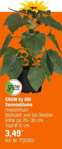 OBI Grow by obi sonnenblume (helianthus) Angebot