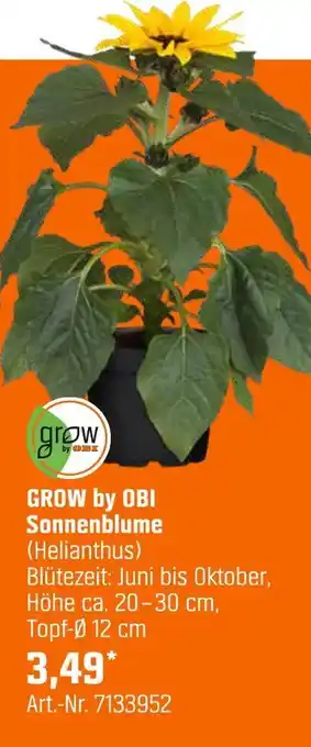 OBI Grow by obi sonnenblume (helianthus) Angebot