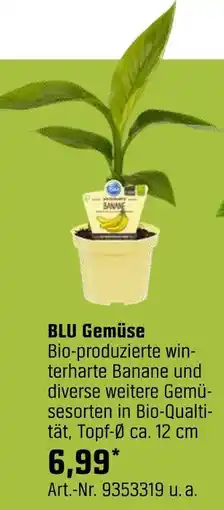 OBI Blu gemüse Angebot