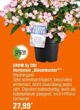 OBI Grow by obi hortensie „bloombuster“ (hydrangea) Angebot