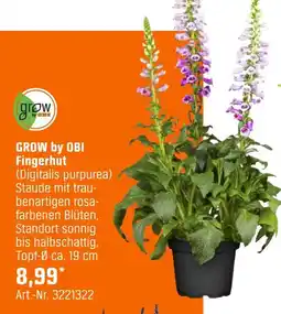 OBI Grow by obi fingerhut (digitalis purpurea) Angebot