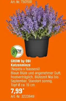 OBI Grow by obi katzenminze (nepeta x faassenii) Angebot