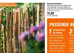 OBI Naturzaun haselnuss Angebot