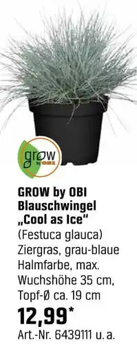 OBI Grow by obi blauschwingel „cool as ice“ Angebot
