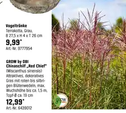 OBI Grow by obi chinaschilf „red chief“ Angebot